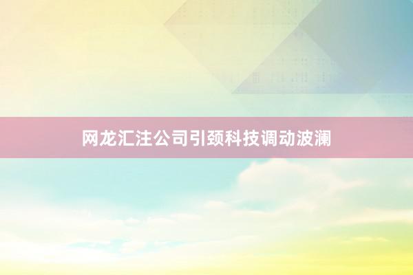 网龙汇注公司引颈科技调动波澜