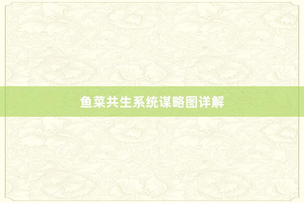鱼菜共生系统谋略图详解